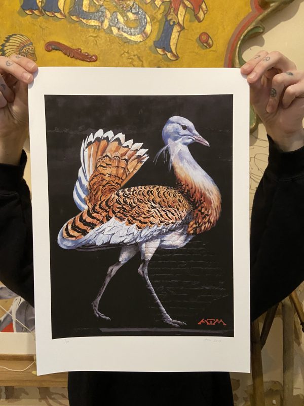 ATM - Great Bustard